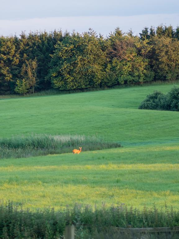 Pedersminde Guesthouse Fredensborg Zewnętrze zdjęcie